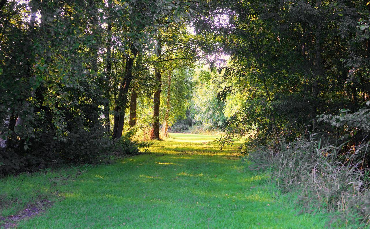 Woodpecker Lodge - Brook Meadow - Sleeps 4 Plus 2 - No Pets Market Harborough Exterior foto